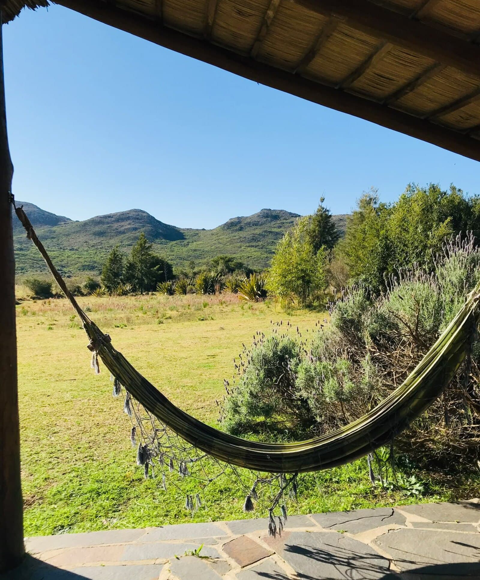Hamaca colgada en la galería de la posada, con la lavanda y la sierra enfrente