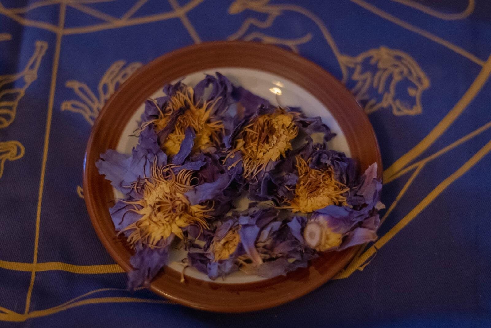 Flores de loto azul abiertas sobre un plato de cerámica